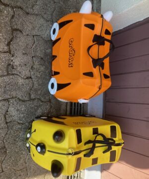 OCCASION - Valise Trunki pour enfant